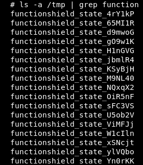 FunctionShield%20Process/Untitled%201.png